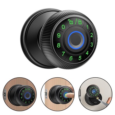 Smart Door Security Fingerprint Ball Lock with Random Password Feature