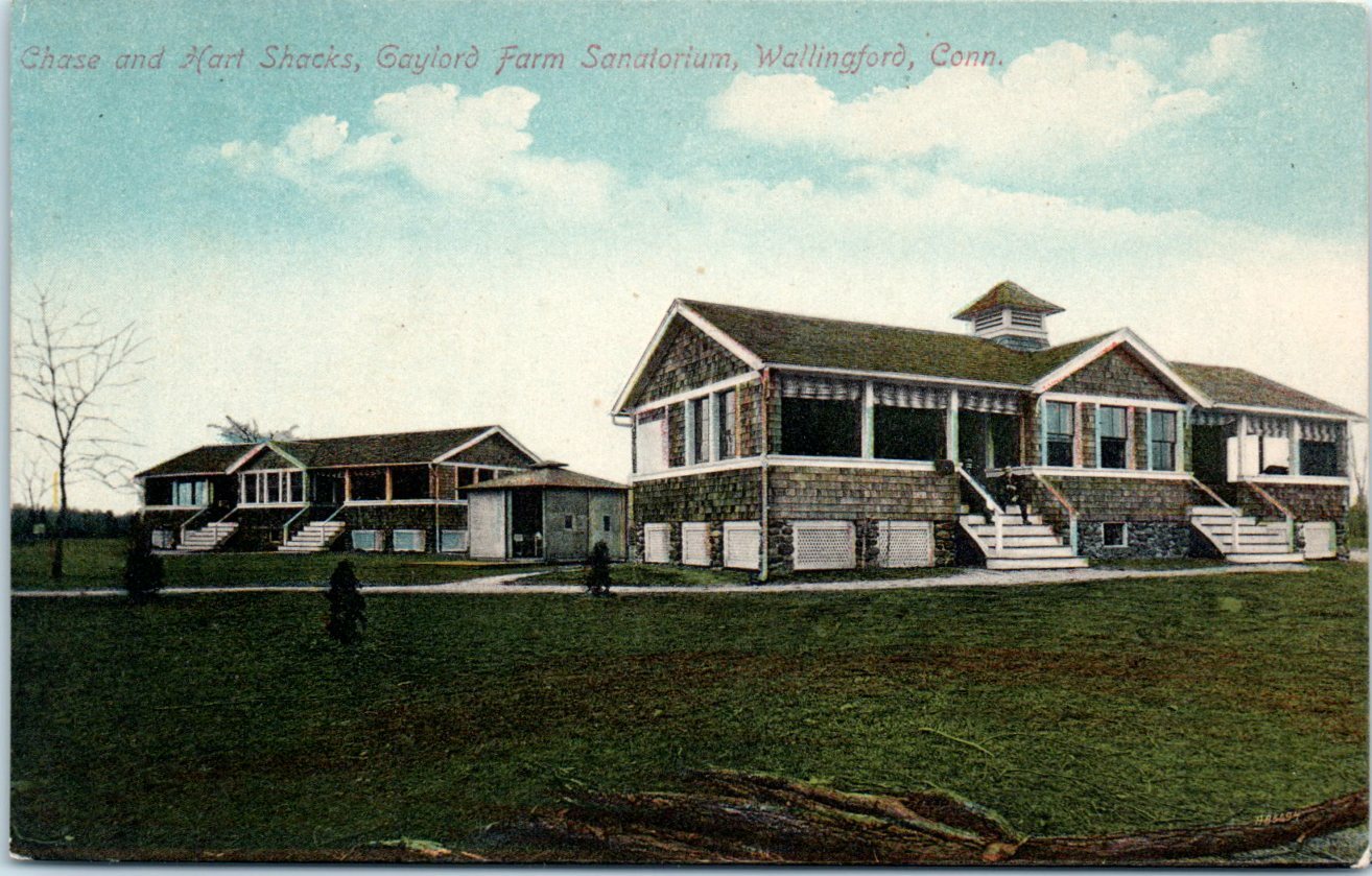 1910s CT Postcard Gaylord Farm Sanatorium Chase Hart Shacks Wallingford