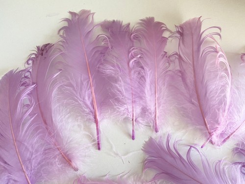 Bundle 20pcs Lilac Curly Goose Feathers Ideal for Crafts, Costumes, Millinery - Picture 2 of 7