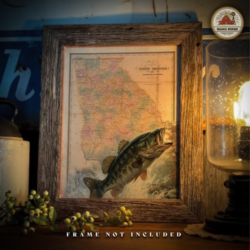Largemouth Bass Georgia State Map Art Print Vintage Fishing Lures Wall Decor - Picture 4 of 9