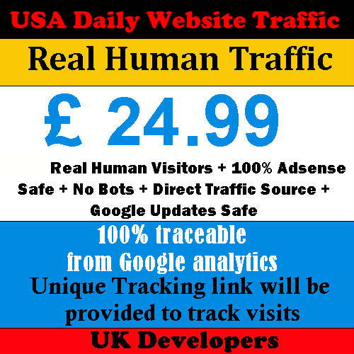Real Human Visitor USA Website Traffic - Daily Visitors - Direct Traffic - Picture 1 of 1