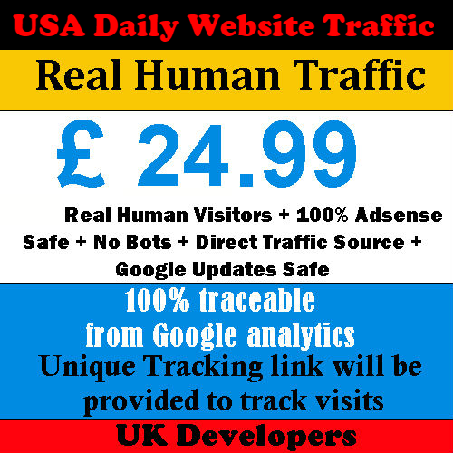 Real Human Visitor USA Website Traffic - Daily Visitors -  Direct Traffic - Picture 1 of 1