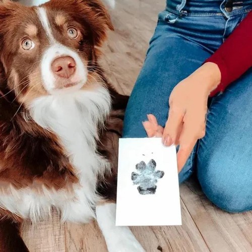 Pet Paw Print Ink Pads Dog Cat DIY Keepsake Pawprint Maker Kit Handprint - Picture 3 of 12