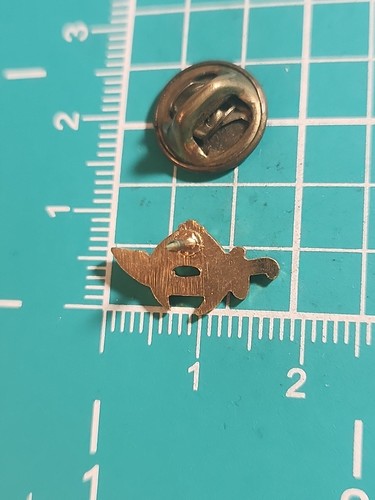 Vtg Freemason Masonic Shriner Ben Ali Shrine Logo Gold Tone Lapel Pin - 第 19/20 張圖片