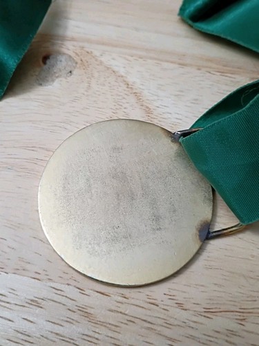 Vintage Tall Cedars Lebanon Juniata Valley Forest No. 88 GTC Medal Deputy Ribbon - Picture 10 of 18