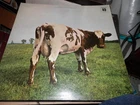 LP VINYL PINK FLOYD ALBUM ATOM HEART MOTHER SHVL 781 UK 1ST PRESS 1970 EX-/EX-