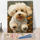 Dog Cute Paint by Numbers Kit for Adults Paint by Number Kits for Kid Canvas Diy