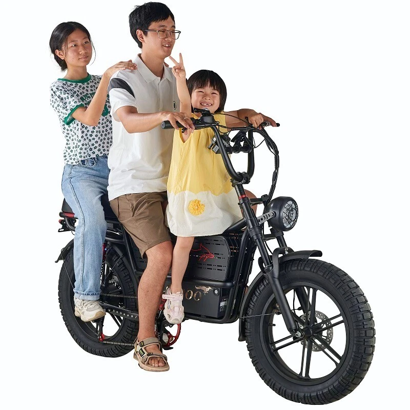 Bicicleta Eléctrica 1000W Motor 20" 48V Mountain City Entrega Bicicleta para Adultos Foto 4 de 4