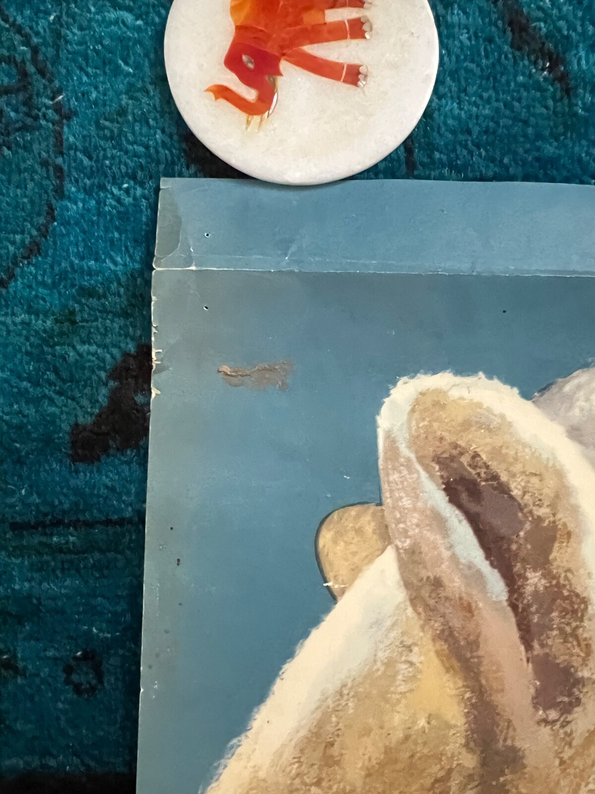 Picture 14 of 24