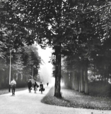 c1940 RPPC Loosduinen Holland Youth hostel Ockenburgh Hague path Postcard A28