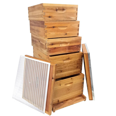 5-Layer Bee Hive, Beehive Kit Langstroth Bee Hive Coated with 100% Beeswax Inclu