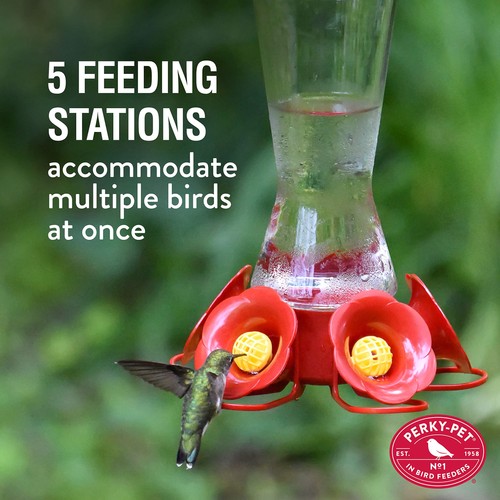 204CP-4 Favored Pinch-Waist Glas Kolibri Futterhaus mit integriertem Ameisengraben a... - Bild 7 von 8