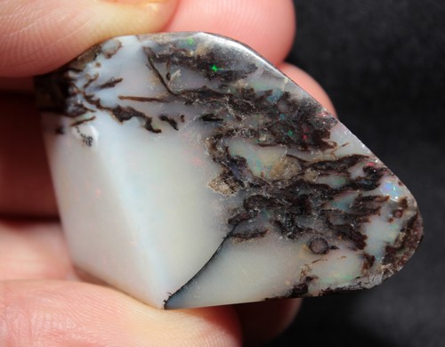 Precious Stable Opal Wood from Virgin Valley Nevada - 63.9 ct - opalized - Picture 5 of 5