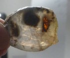 Picture 1 of 8