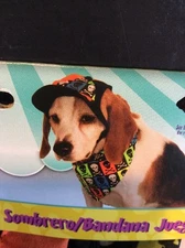 Dog Halloween Costume Skull And Crossbones Hat/Bandana Set Small-Medium