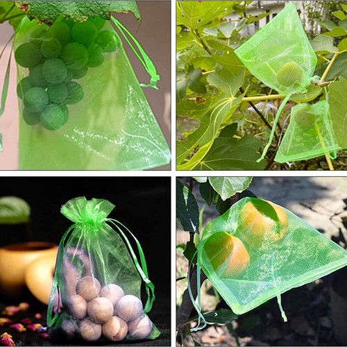 5 Sizes Fruit Fly Net Insect Mesh Vegetable Garden Plant Crop Protection Bags AU - Picture 9 of 19