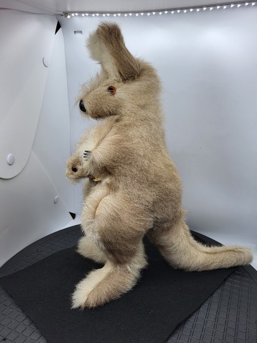 ¿Vintage o antiguo? Mamá canguro con cuerpo duro peludo bebé 13 pulgadas - Imagen 5 de 13