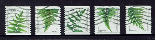 USA STAMPS 2014 Flora - Ferns SC 4848 - 4853 USED