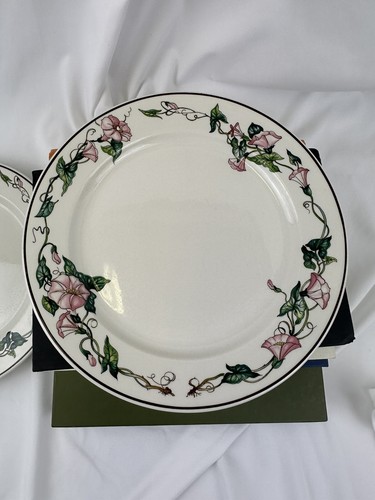 2 Villeroy Boch PALERMO Morning Glory Dinner Plates 9.5" Vitro Porcelain Floral - Picture 7 of 10