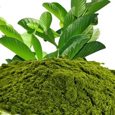 100 Organic Dried Guava Leaves ground Powder pure For Herbal Tea and Skin Care
