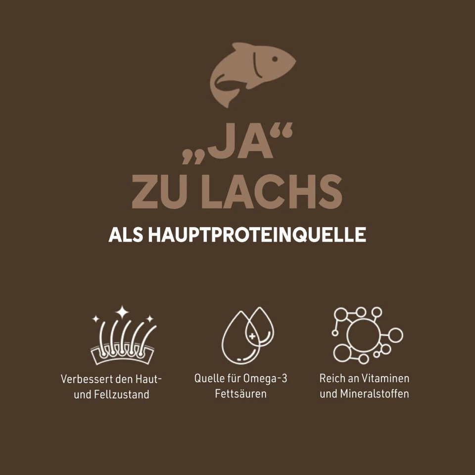 Premium LACHS und KARTOFFEL -getreidefrei -Trockenfutter für ausgewachsene-Hunde - Bild 3 von 4