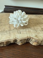 Riccio Caprese Arte Italiana Ceramica Corallo Scultura Opalino Mare Iridescente CHIPS