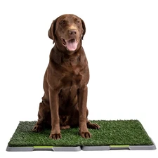 Dog Grass Pad Fake Grass for Dogs to Pee on, Indoor Dog Potty for Dogs Over 1...