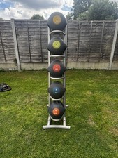 Jordan Set of 5 Commercial Medicine Balls and Rack  in excellent condition