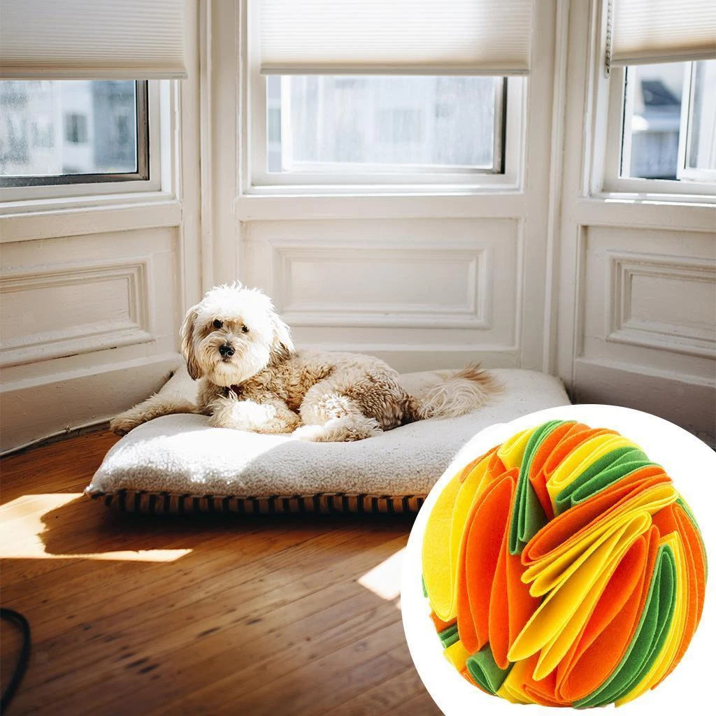 Pat ball on sale dog