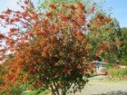 Bild 2 von 5