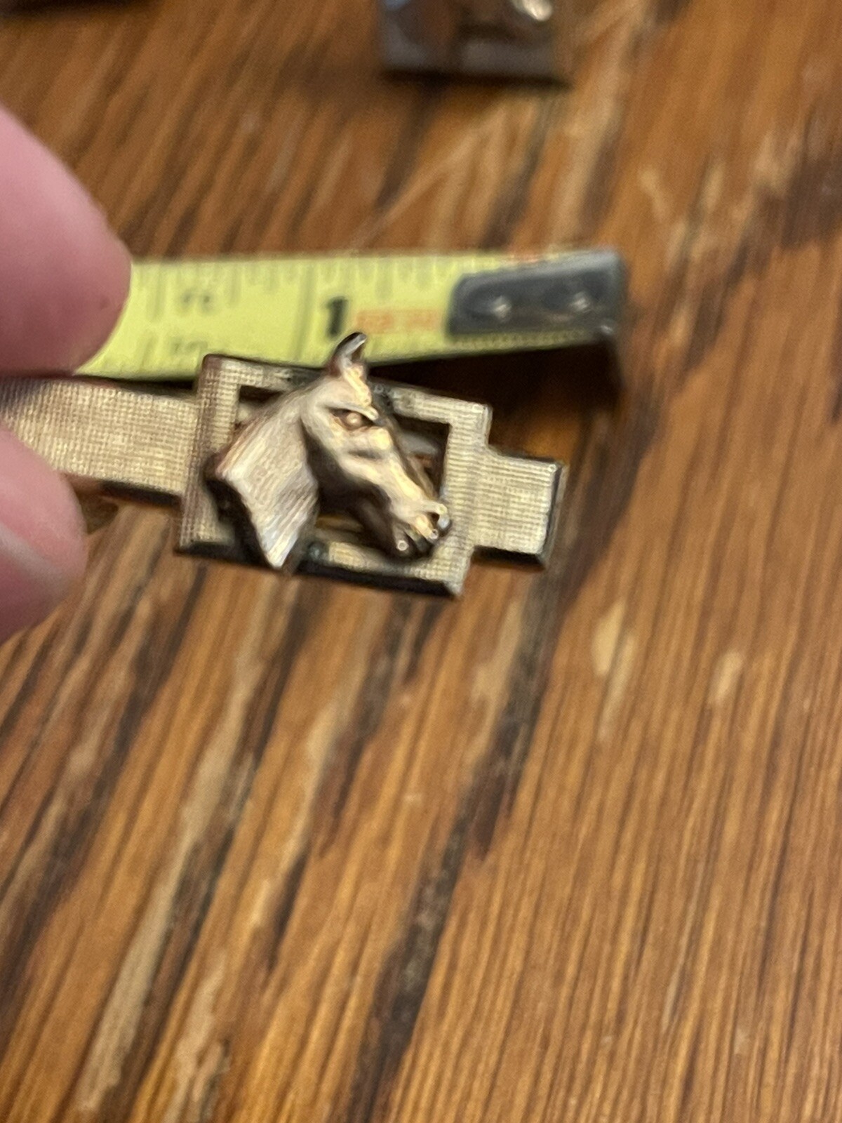 Picture 6 of 17