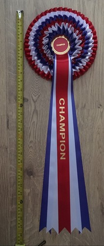 Rosetta massiccia 6 livelli - Champ/Res Champ/Supreme Champ/Res Sup Champ/BIS/RBIS - Foto 2 di 3