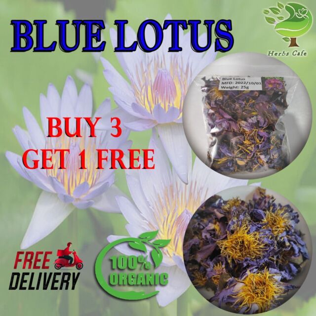 Blue Lotus Flower Dried Nymphaea Caerulea| 100% Natural Lucid Dream Herb Tea 25g