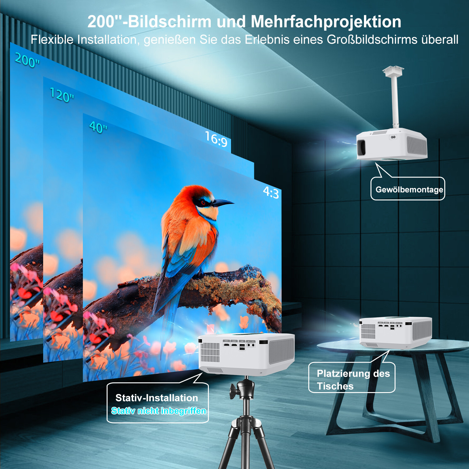 Bild 12 von 13