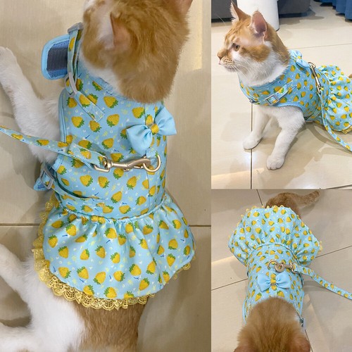 Floral Girl Dog Harness Dress and Lead with Cute Bowtie Cat Puppy Princess Vest - Picture 10 of 20