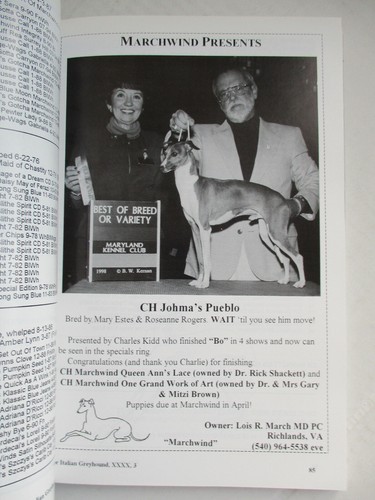 Italian Greyhound Magazine April/May 1998 Champion Photos & Articles - Bild 7 von 12