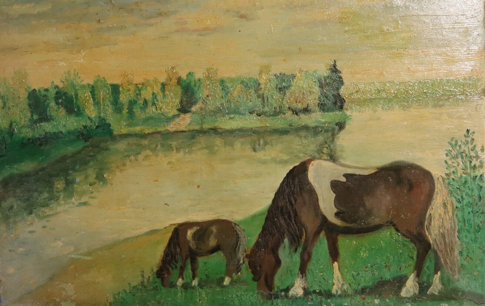 Picture 2 of 13