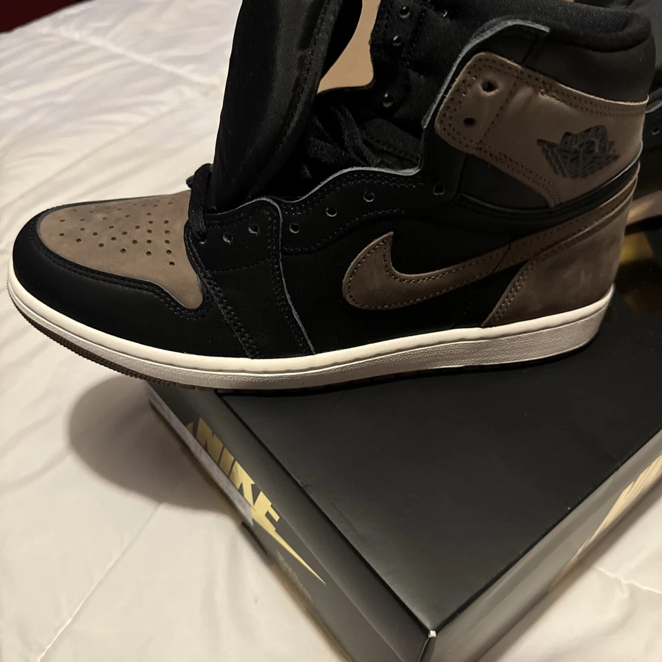 Talla 11 - Air Jordan 1 Retro Alto Melo Foto 2 de 4