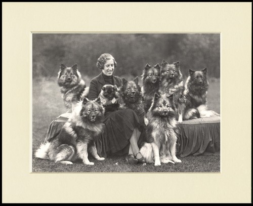 KEESHOND LADY AND HER DOGS LOVELY DOG PHOTO PRINT MOUNTED READY TO FRAME - 第 1/1 張圖片