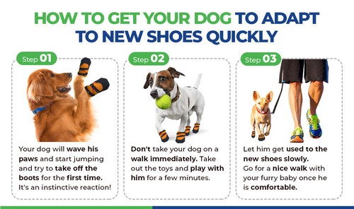 Urban Walkers Healers Dog Shoes Size XS Colour Teal Or Orange Paw Protection. - Picture 3 of 9