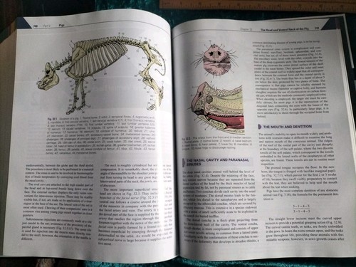 Textbook of Veterinary Anatomy - Dyce, Sack and Wensing - 5th Ed.2018 PicHc NEW - Picture 24 of 24