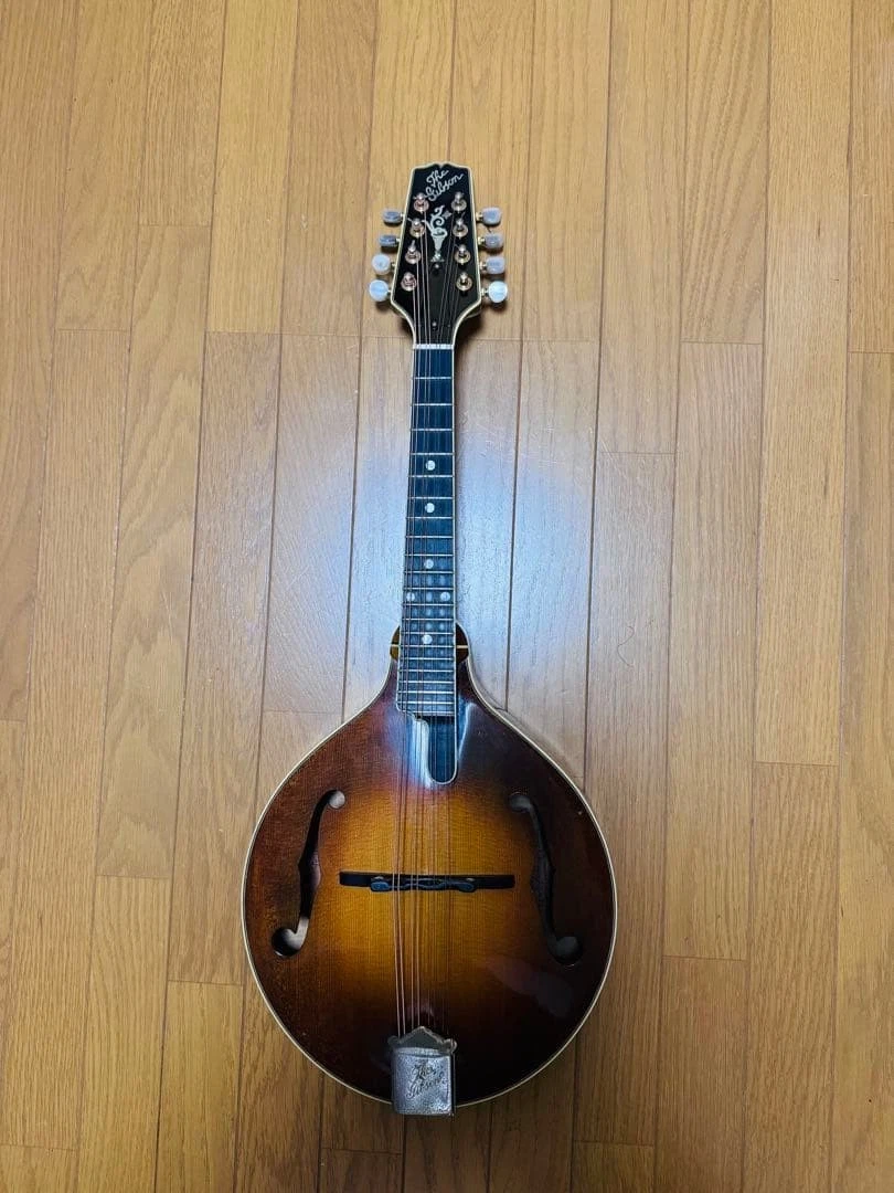 gibson a style mandolin | eBay