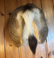 Mule  Deer Butt/Rump /Rear Wall Mount Professional Taxidermy Camp Den Man Cave