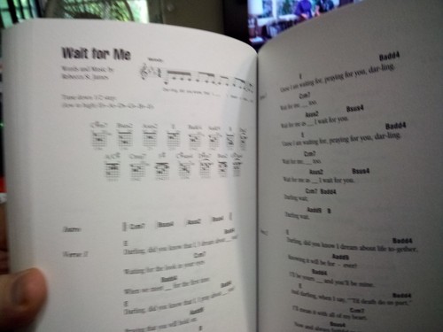 Contemporary Christian: Guitar Chord Songbook Guitar Chords Lyrics CCM - Picture 19 of 24