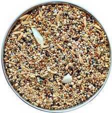 CybeXis Seed Blend of 6 Grains, Fortified with Spirulina, Bird Food