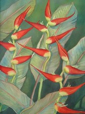 Ceramic Backsplash Tile Mural Floral Kitchen/Bathroom - Heliconia - Linda Lord