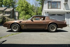 1979 Pontiac Firebird for Sale