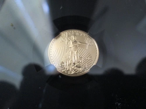 2019 NGC MS70 $5.00 American Gold Eagle Coin! 1/10 oz. Gold Bullion! First Day!