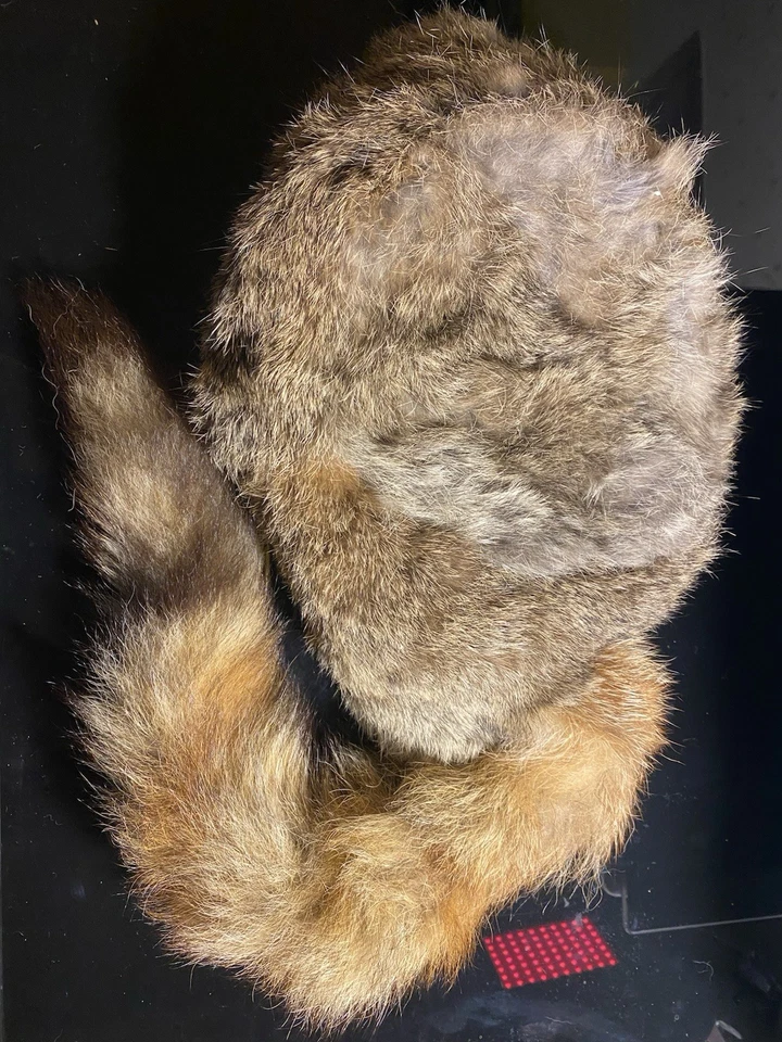 Colbacco Mad Bomber Alla David Crockett Vera Pelliccia Di Lapin 100% Naturale - Immagine 2 di 4