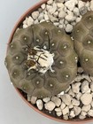 Foto 5 di 5